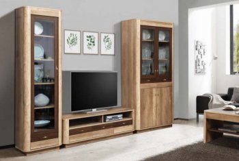 Стенка Фантазия модульная (Олмеко) в Верхней Салде - verhnyaya-salda.mebel-e96.ru