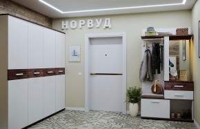 Мебель для прихожей Норвуд в Верхней Салде - verhnyaya-salda.mebel-e96.ru