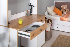 Набор молодежной мебели Вуди (модульный) в Верхней Салде - verhnyaya-salda.mebel-e96.ru