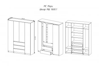 Шкаф распашной Мори 1600 мм графит (ДСВ) в Верхней Салде - verhnyaya-salda.mebel-e96.ru