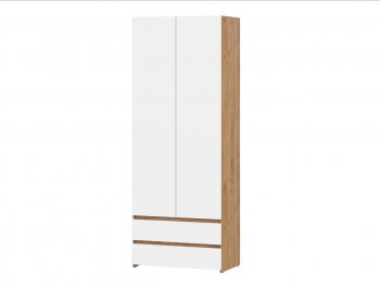 Стол компьютерный Некст-1 + Шкаф (СВ) в Верхней Салде - verhnyaya-salda.mebel-e96.ru