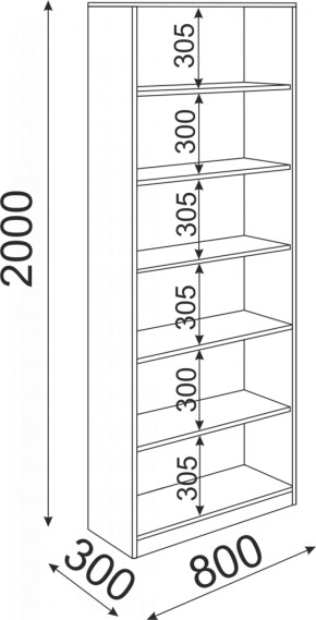 Стеллаж 800 Остин Модуль 08 (Риннер) в Верхней Салде - verhnyaya-salda.mebel-e96.ru