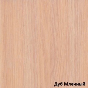 Шкаф-купе Рио 1-600 Амели (полки справа) в Верхней Салде - verhnyaya-salda.mebel-e96.ru