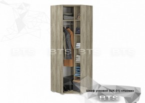 Шкаф угловой ШК-21 Наоми (БТС) в Верхней Салде - verhnyaya-salda.mebel-e96.ru