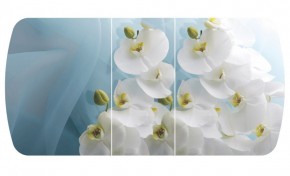 Стол Бостон-3 (Белая Орхидея) 1100/1420*700, опора Брифинг в Верхней Салде - verhnyaya-salda.mebel-e96.ru