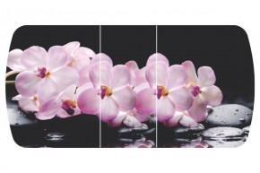 Стол Бостон-3 (Розовая Орхидея) 1100/1420*700, опора Брифинг в Верхней Салде - verhnyaya-salda.mebel-e96.ru