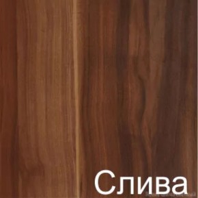 Стол-книжка (1-65) (ГК) в Верхней Салде - verhnyaya-salda.mebel-e96.ru