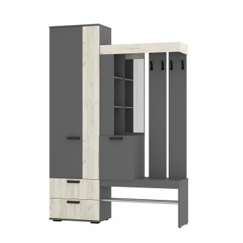 Прихожая Трамп графит/крафт белый (БТС) в Верхней Салде - verhnyaya-salda.mebel-e96.ru