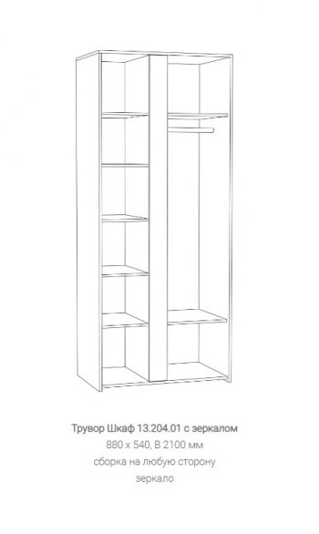 Шкаф Трувор 13.204.01 с зеркалом в Верхней Салде - verhnyaya-salda.mebel-e96.ru