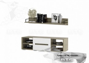 Тумба ТВ ТБ-16 Наоми (БТС) в Верхней Салде - verhnyaya-salda.mebel-e96.ru