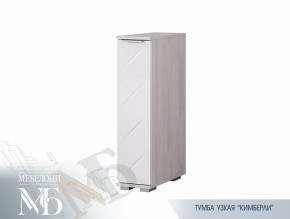 Тумба узкая ТБ-21 Кимберли (БТС) в Верхней Салде - verhnyaya-salda.mebel-e96.ru